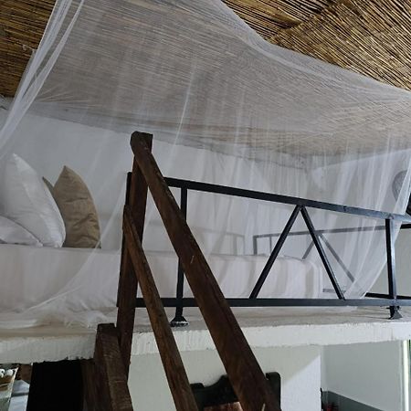 מלון מינקה Casa Chill Out מראה חיצוני תמונה
